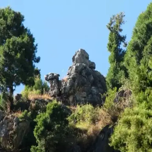 Camel's Back Road Mussoorie