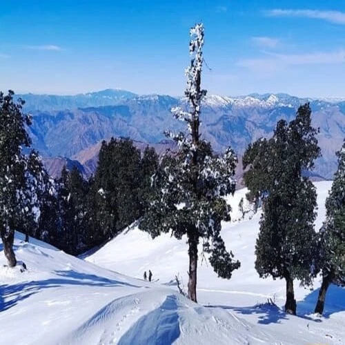 Naag Tibba Trekking Mussoorie